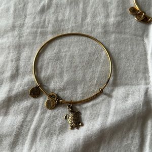 Gold sea turtle, Alex and a Ani bracelet
